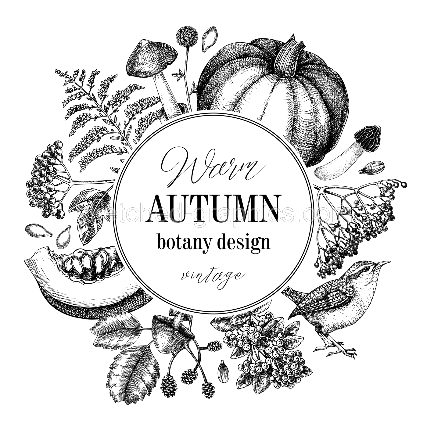 Vintage autumn wreath design. Thanksgiving background. Fall leaves, pumpkins, berries, mushrooms sketches. Hand-drawn vector illustration. NOT AI generated Illustration